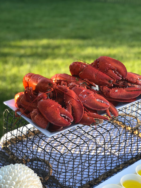 lobsters-sitting-on-top-of-cages