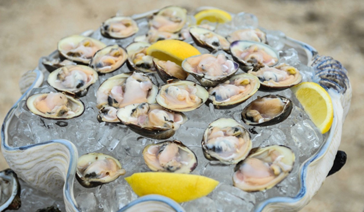 Assortment of raw shellfish on bed of ice