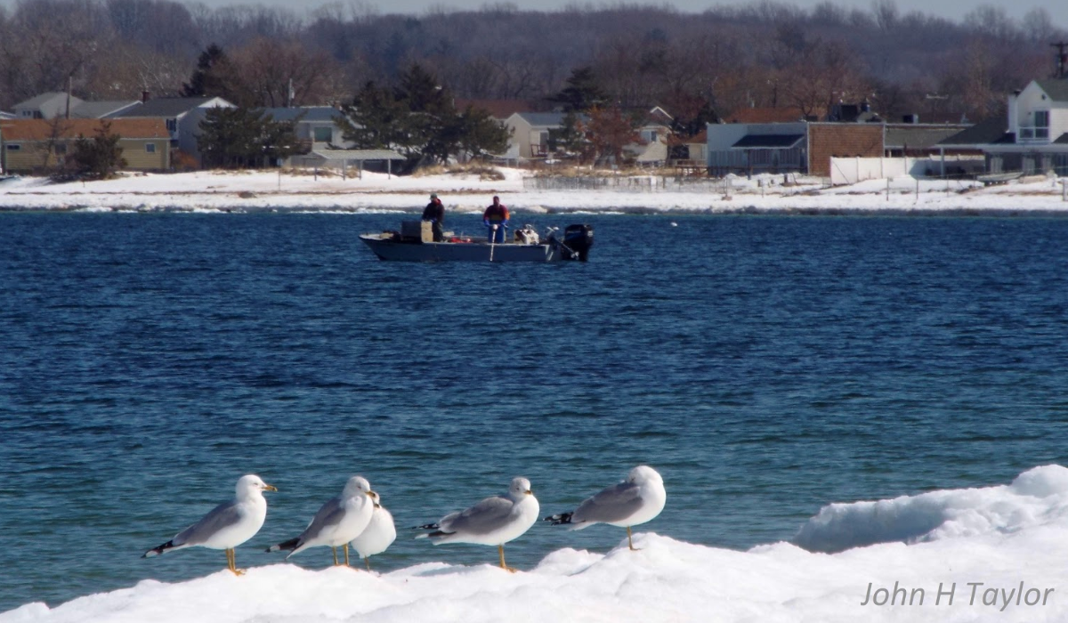 Fisherman in the bay fishing with snowfall in the background