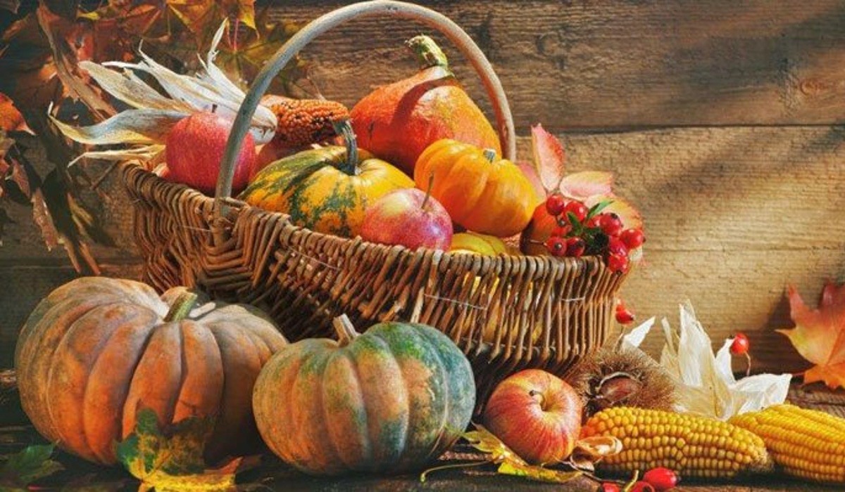 Assortment of pumpkins on fall background